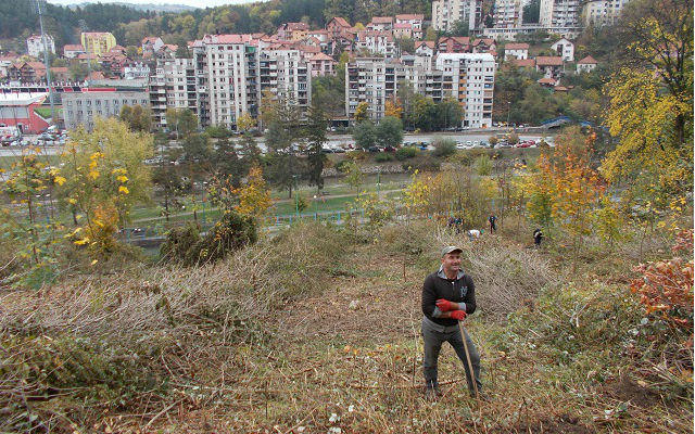 Za pošumljavanje 34 miliona dinara