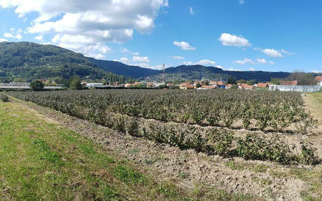 Subvencije: Bez odlaska u trezor