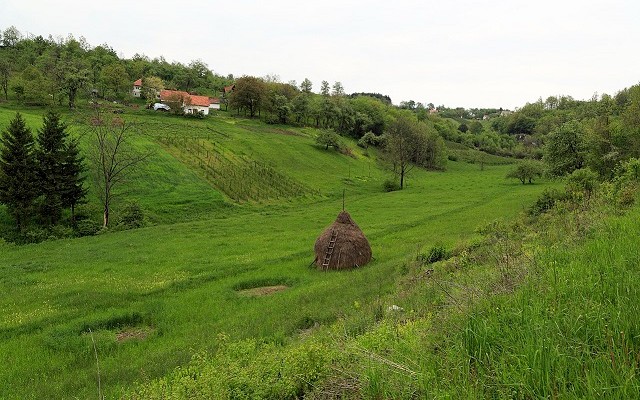 Najviše brine voda