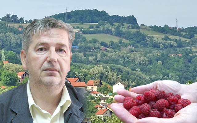 Maline i borovnice opet piju vodu