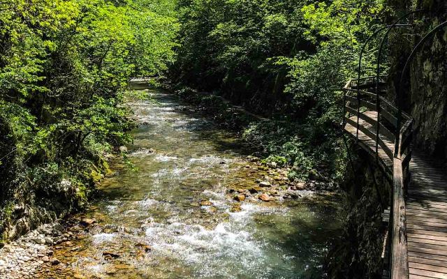 Foto: Planinski savez Srbije