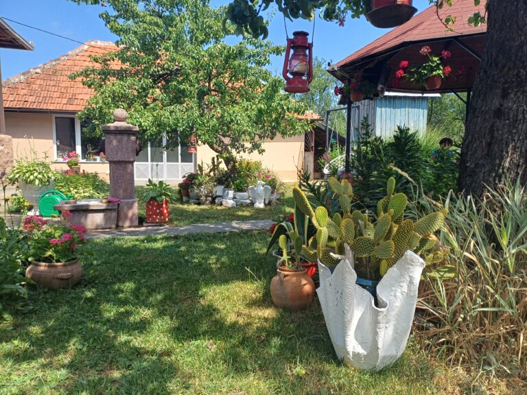 Foto: Grad Užice