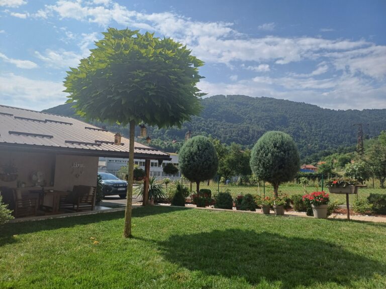 Foto: Grad Užice