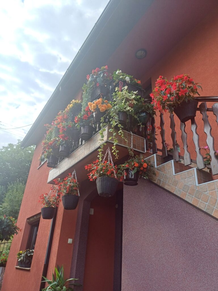 Foto: Grad Užice