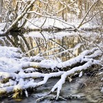 River Tributary in Winter