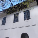 DSCN0534