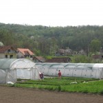 IMG_5514