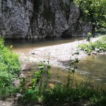 Rajski otoci 2