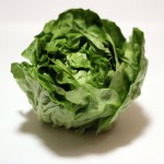 zelena salata 1