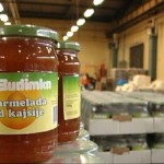 Budimka 2
