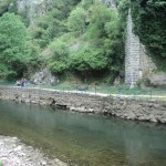 DSC04861