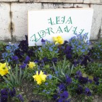 leja zdravlja