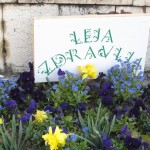 leja zdravlja naslovna