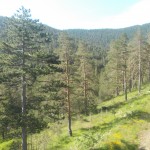 DSCN0010