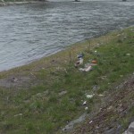 DSCN0349