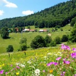 Leto planina