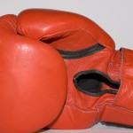 boxing-glove-1547726 (1)