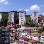 Rosulje