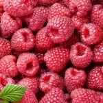 raspberry