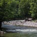 IMG_2561-1