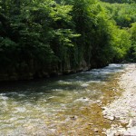 IMG_2562-1
