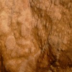 photo-1-720×340
