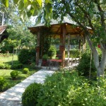 dvoriste-snezane-sarovic