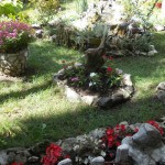 Dvorište Gordane Nenadić 1 (3)