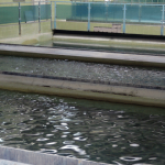 vodovod-fabrika-vode-2