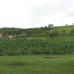 sirogojno-1