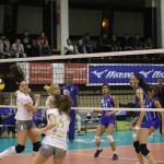 ok-stara-pazova
