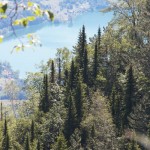 panciceve-omorike-zvijezda-marijana-josipovic