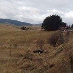 saobracajka-zlatibor