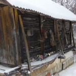 Ruza 6