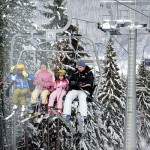 Zlatar zicara