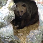 Mecka Gordana