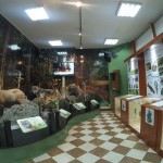 Nacionalni park Tara – kuca prirode