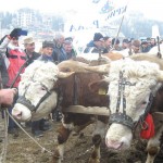 Radna akcija 3