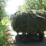 kremna