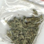 Marihuana