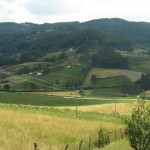 dreznik