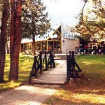 narcis zlatibor