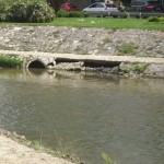 djetinja