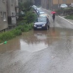 prolaznici