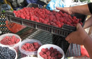 Cenu maline kreira evropsko tržište