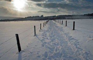 Zima počinje u ponedeljak 21. decembra