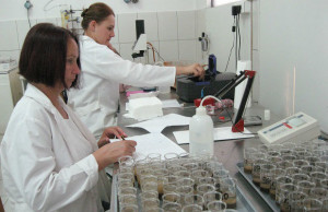 Besplatna analiza zemljišta za registrovana gazdinstva