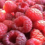 Maline 5