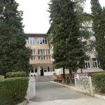 Sevojno