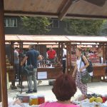 Zestival 6